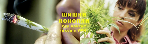 индика Абинск