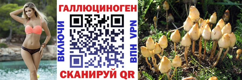 Галлюциногенные грибы мухоморы Аткарск